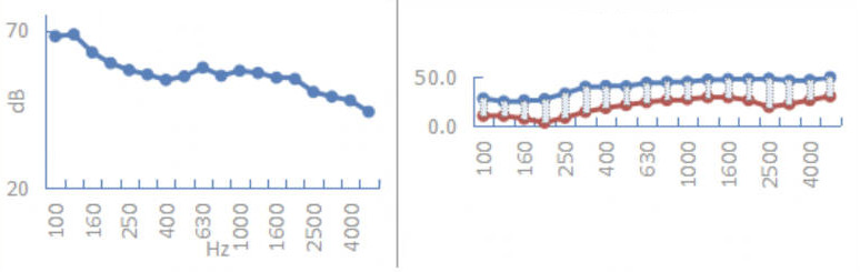grafico rumore del traffico e differenza isolamento